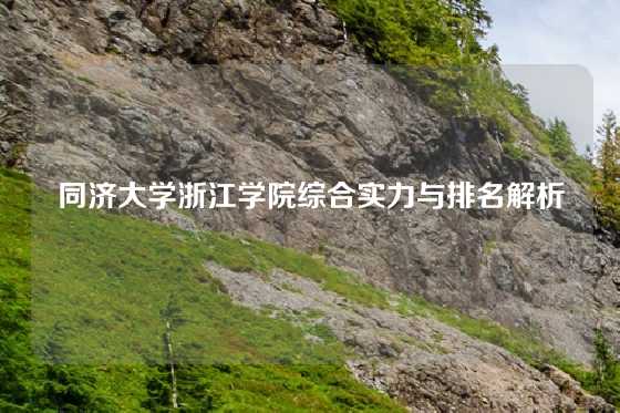 同济大学浙江学院综合实力与排名解析
