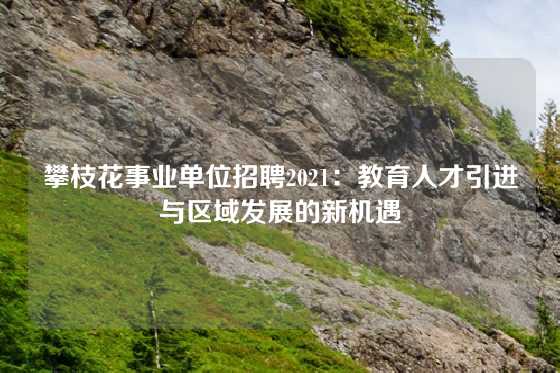 攀枝花事业单位招聘2021：教育人才引进与区域发展的新机遇