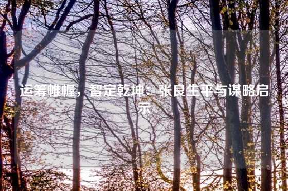 运筹帷幄，智定乾坤：张良生平与谋略启示