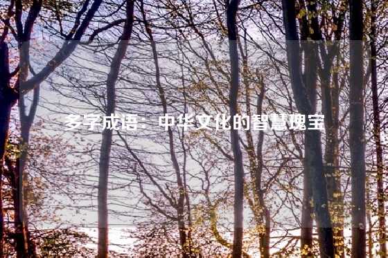 多字成语:中华文化的智慧瑰宝