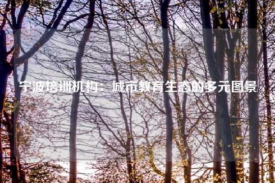 宁波培训机构：城市教育生态的多元图景