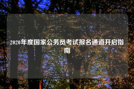 2020年度国家公务员考试报名通道开启指南