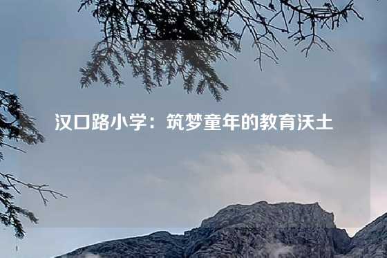 汉口路小学：筑梦童年的教育沃土