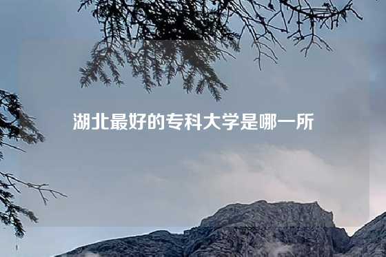 湖北最好的专科大学是哪一所