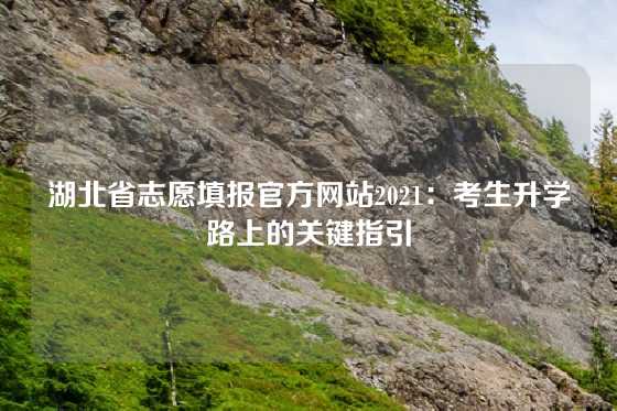 湖北省志愿填报官方网站2021：考生升学路上的关键指引