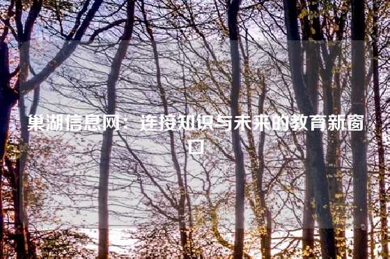 巢湖信息网：连接知识与未来的教育新窗口