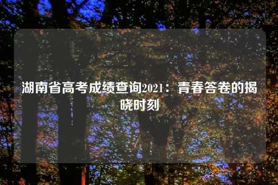 湖南省高考成绩查询2021：青春答卷的揭晓时刻