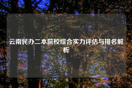 云南民办二本院校综合实力评估与排名解析